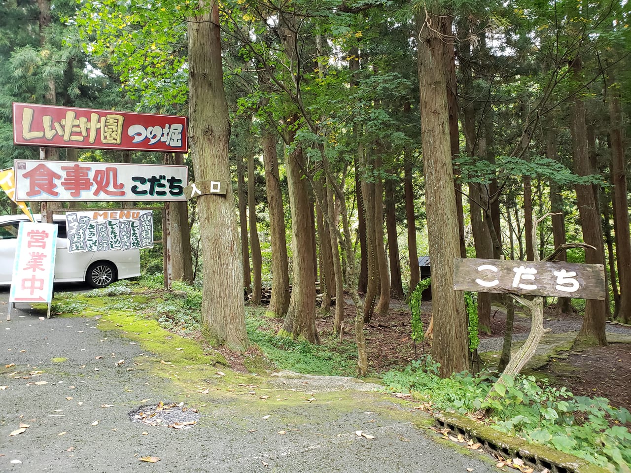 日野郡江府町 大山のブナに囲まれた食事処 こだち しいたけ園 にて 江府町の新鮮な川魚と山の幸を一度に堪能してきました 号外net 米子市 西部地域