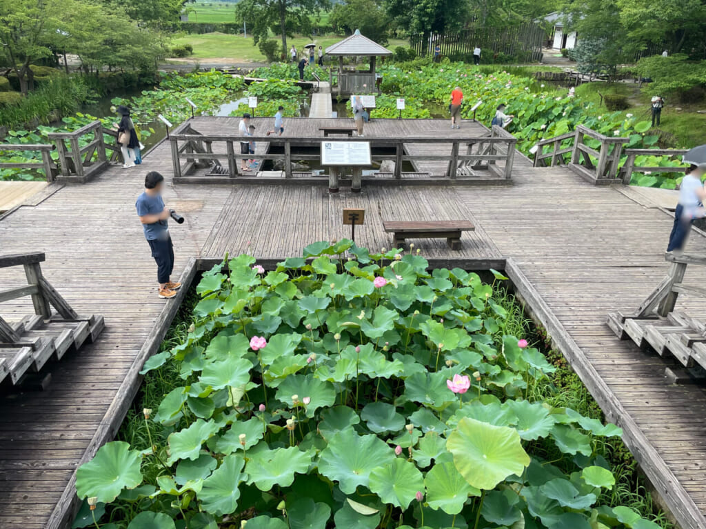 伯耆古代の丘公園